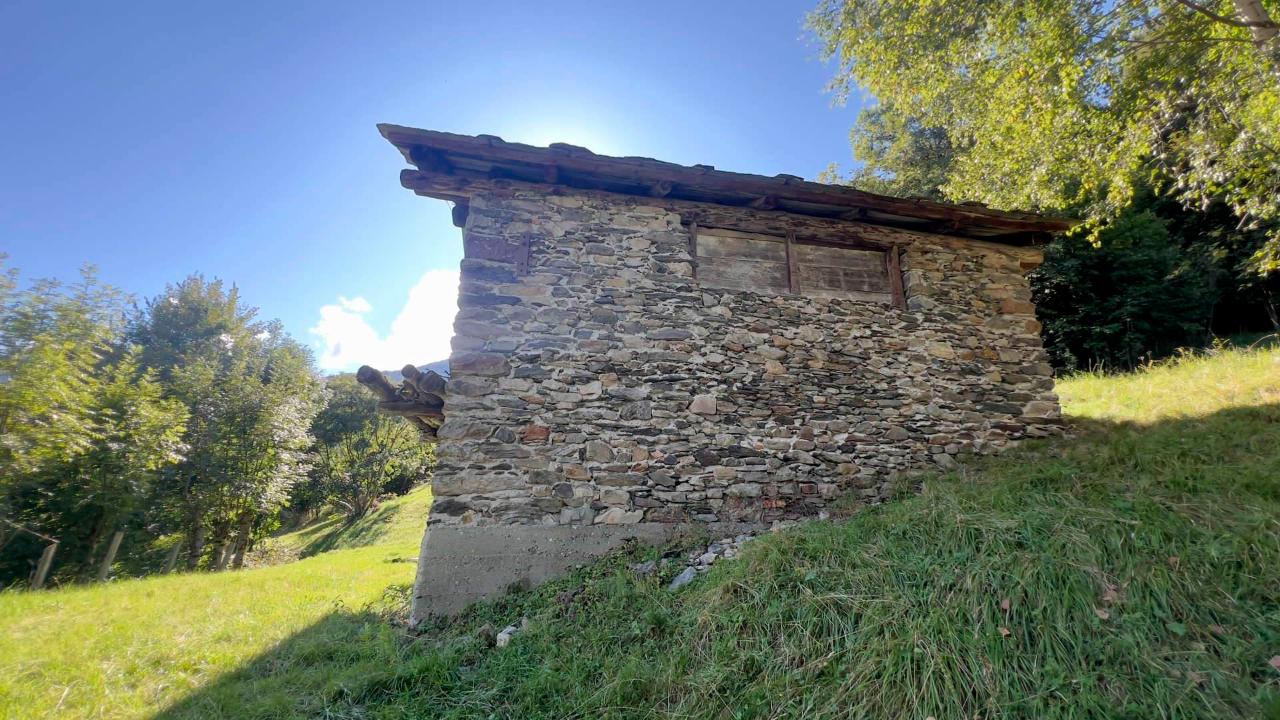 immagine annuncio 7 di 8