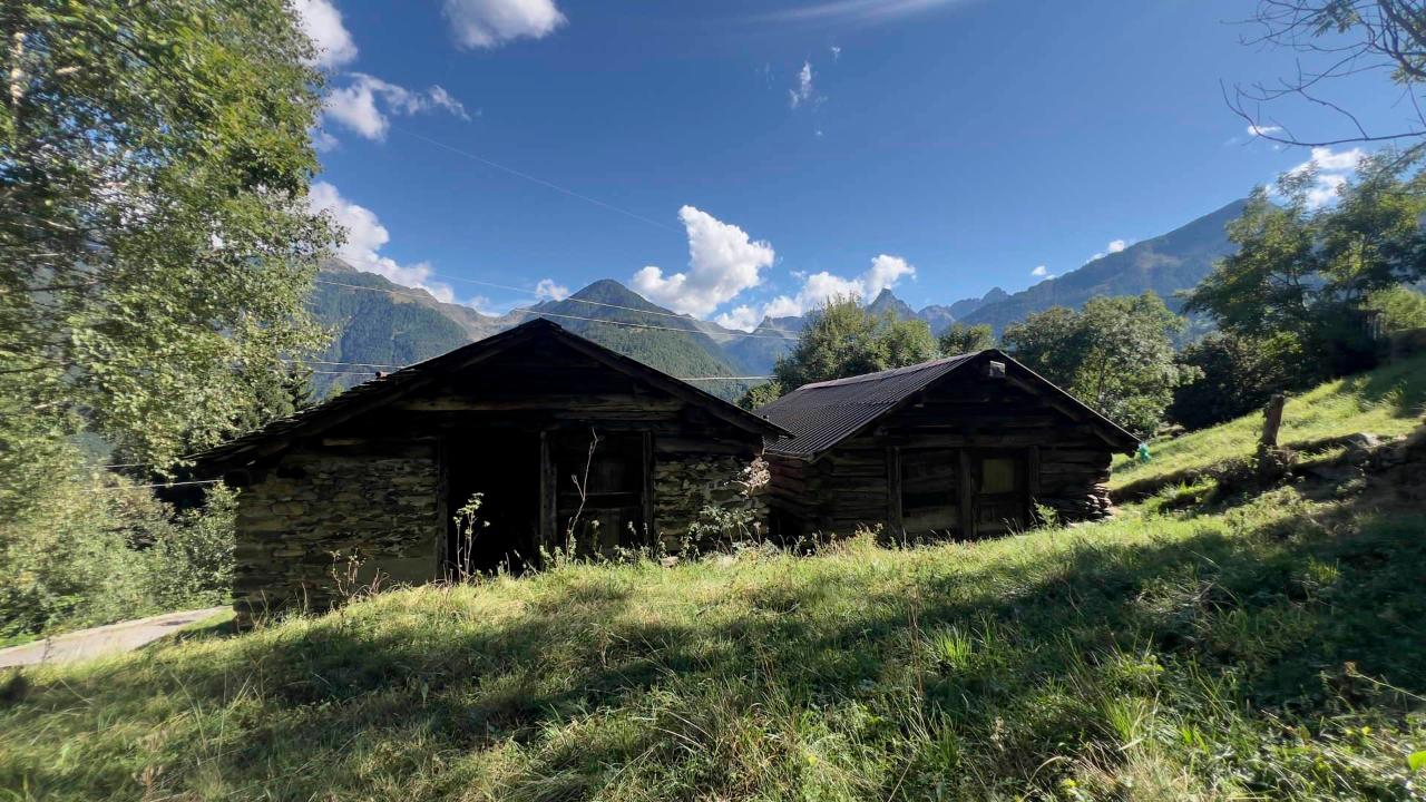 immagine annuncio 3 di 8