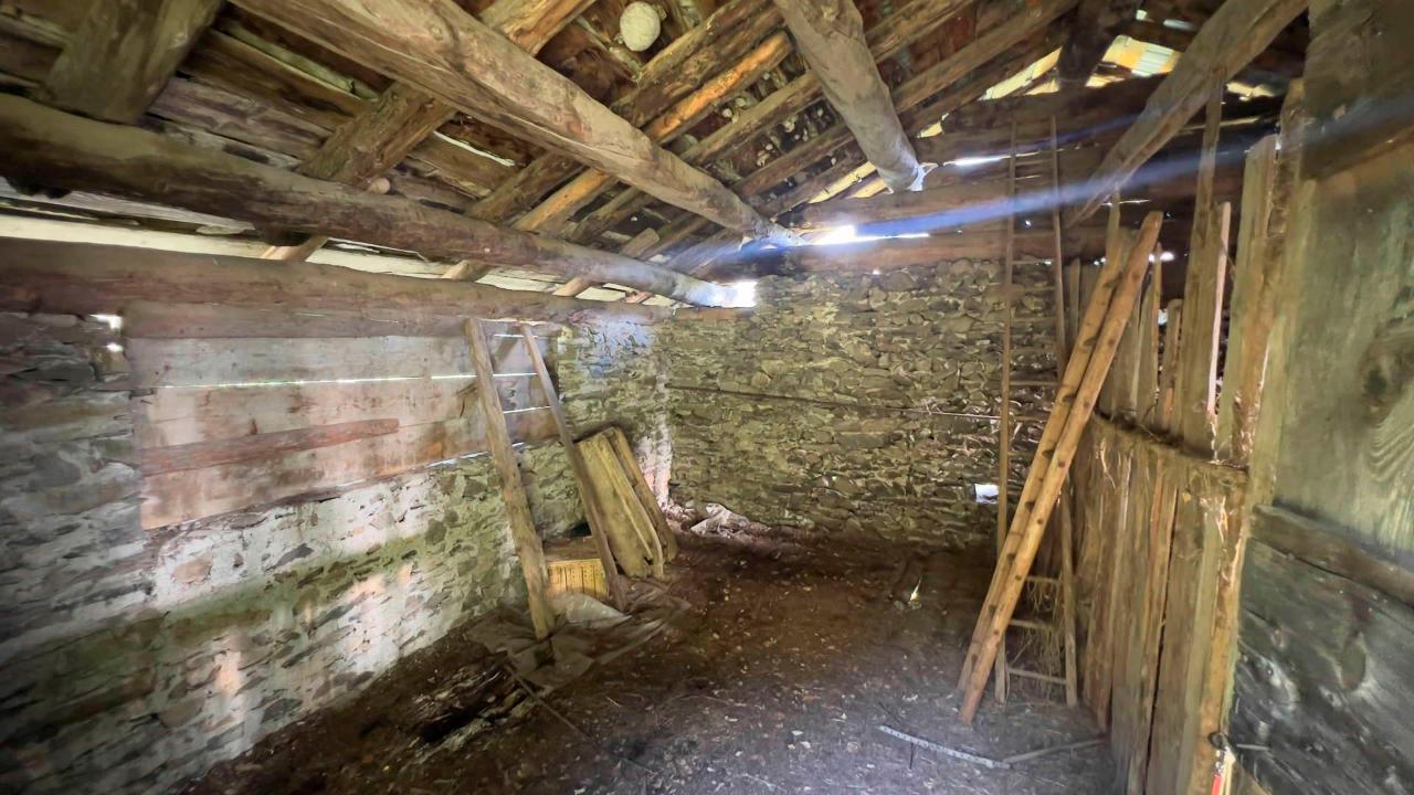 immagine annuncio 5 di 8