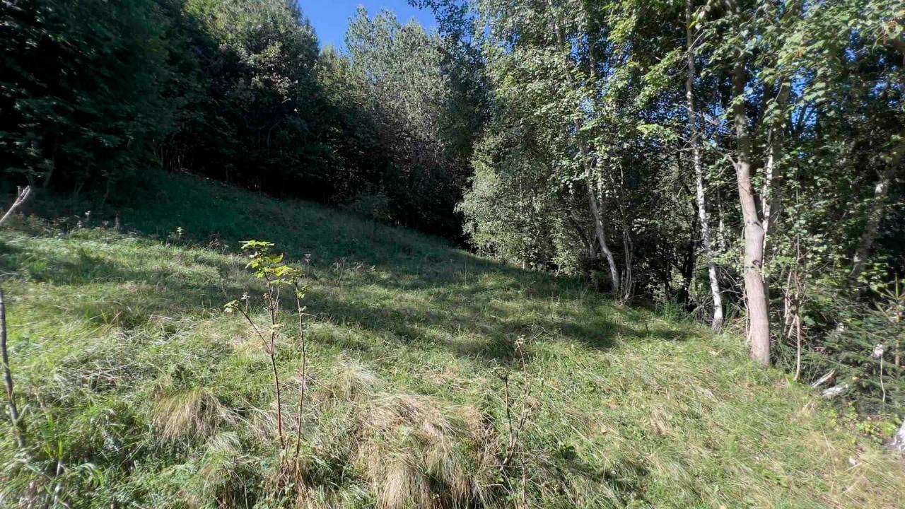 immagine annuncio 6 di 8