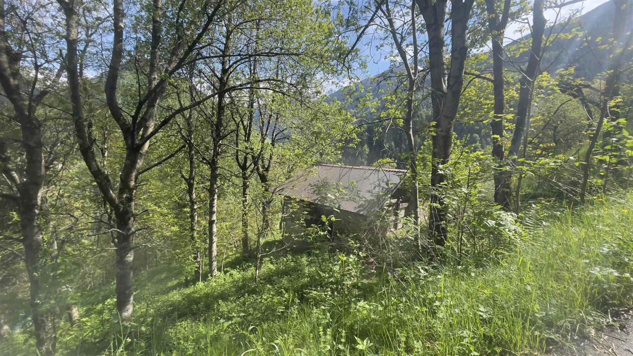 immagine annuncio 8 di 13