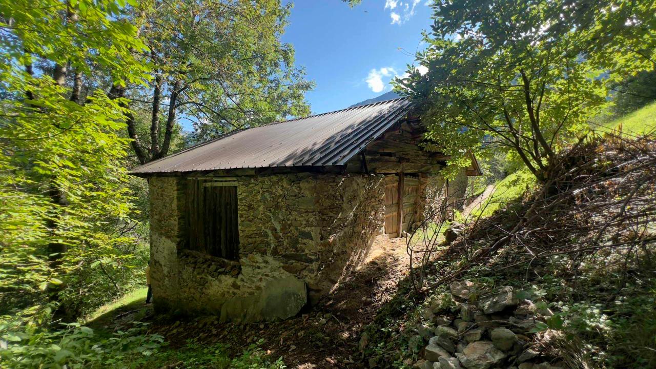 immagine annuncio 1 di 13