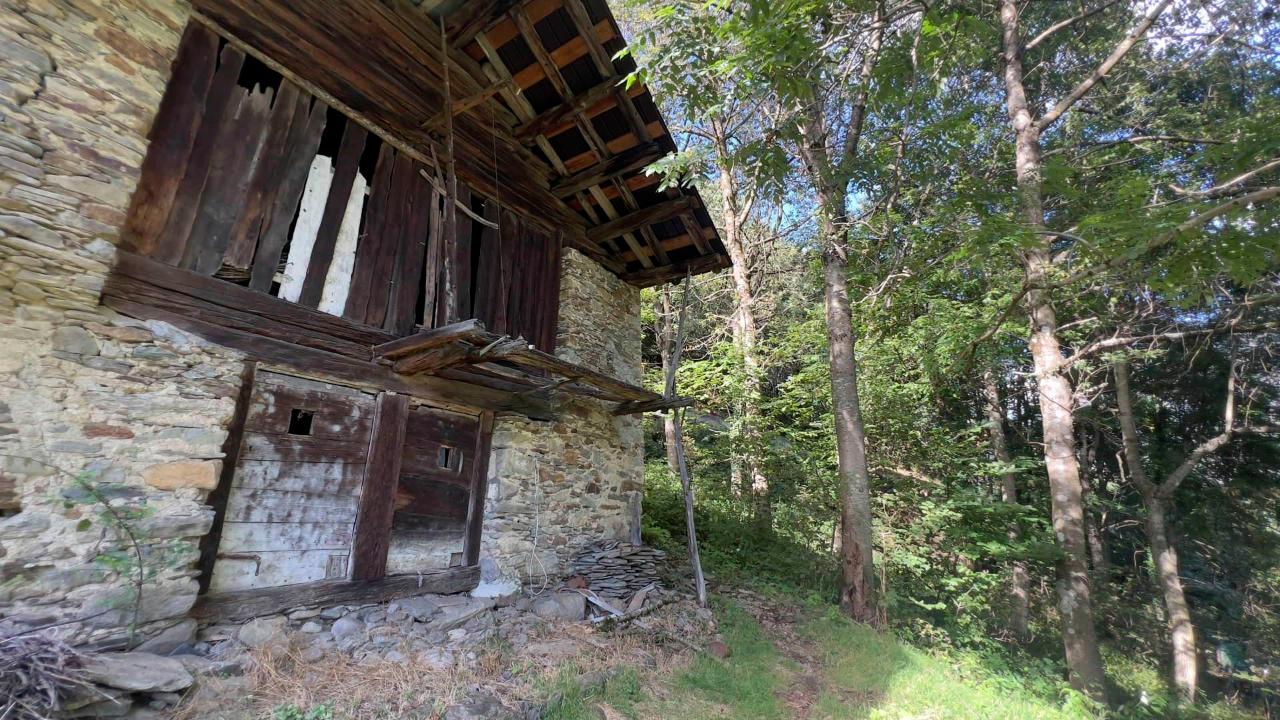 immagine annuncio 2 di 13