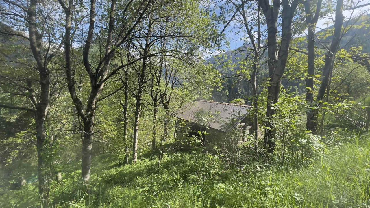 immagine annuncio 3 di 13