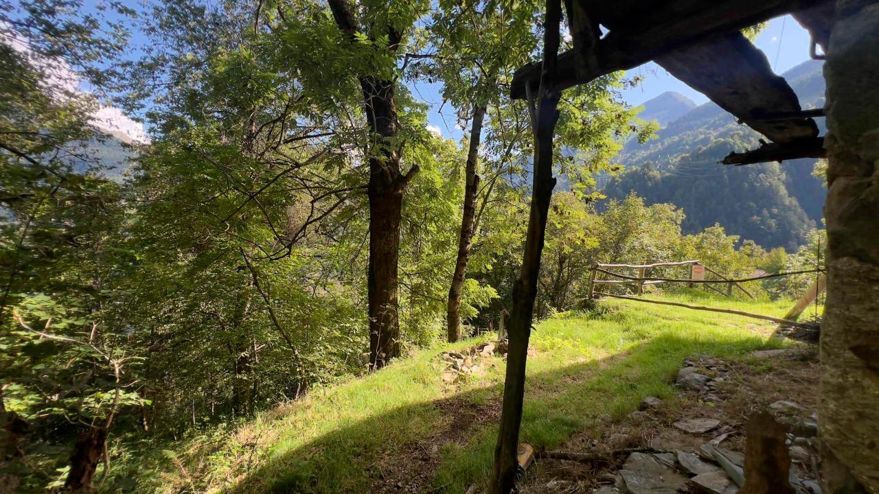 immagine annuncio 5 di 13