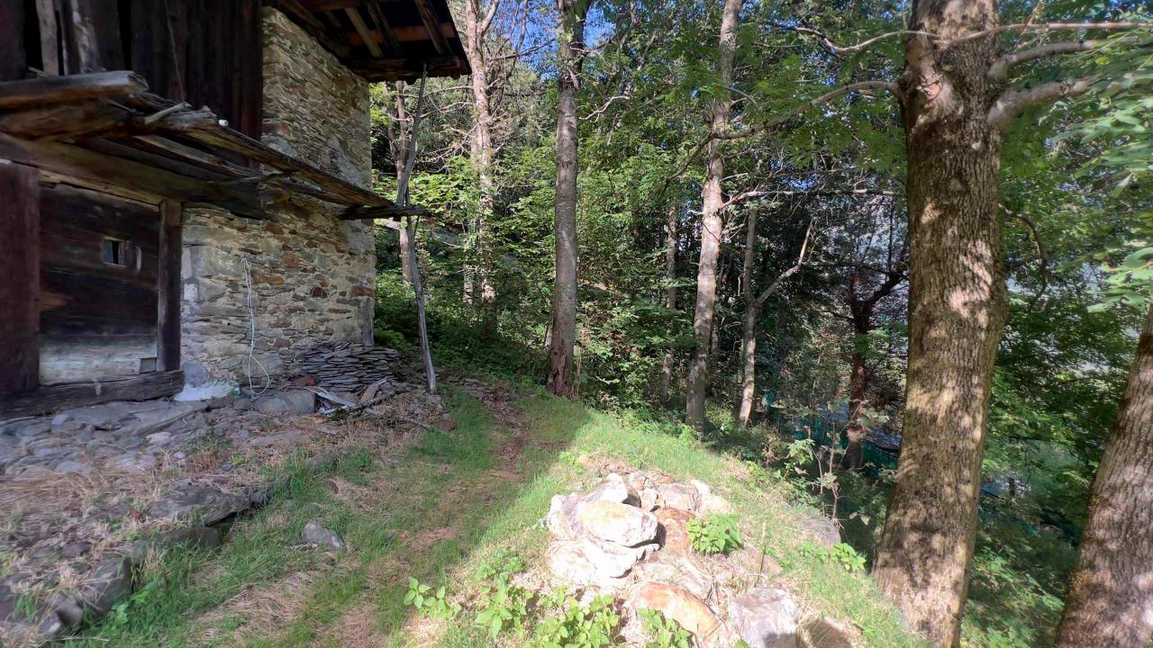 immagine annuncio 4 di 13