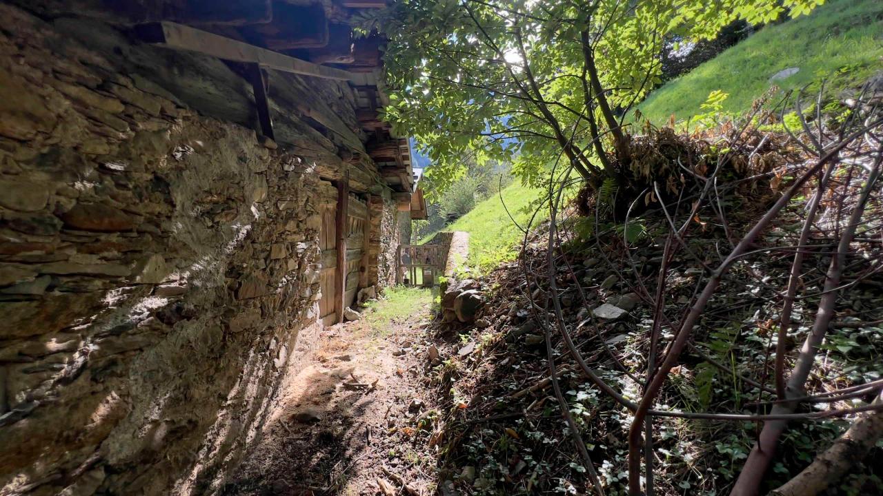 immagine annuncio 6 di 13