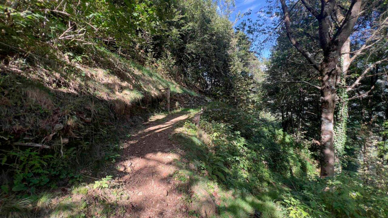 immagine annuncio 9 di 13