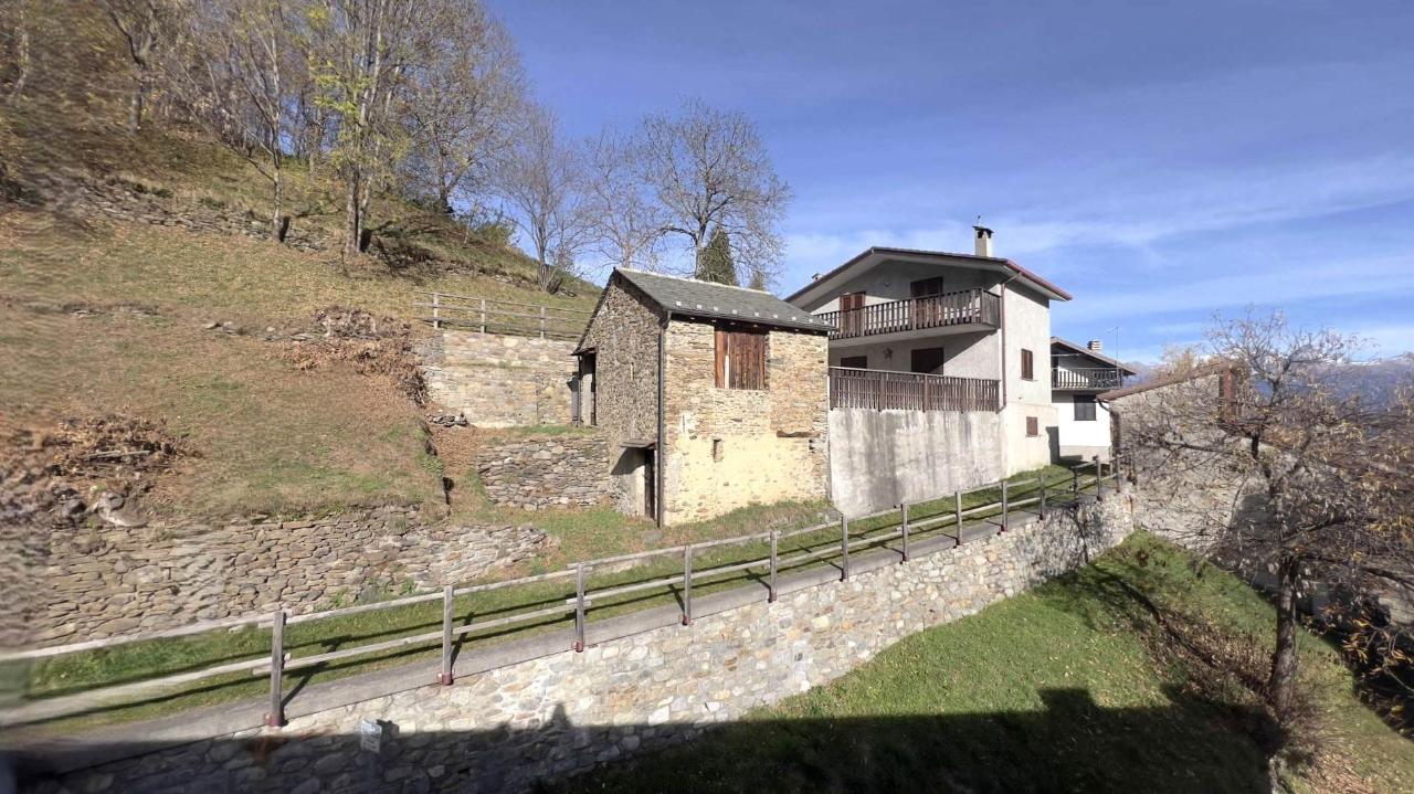 immagine annuncio 12 di 15