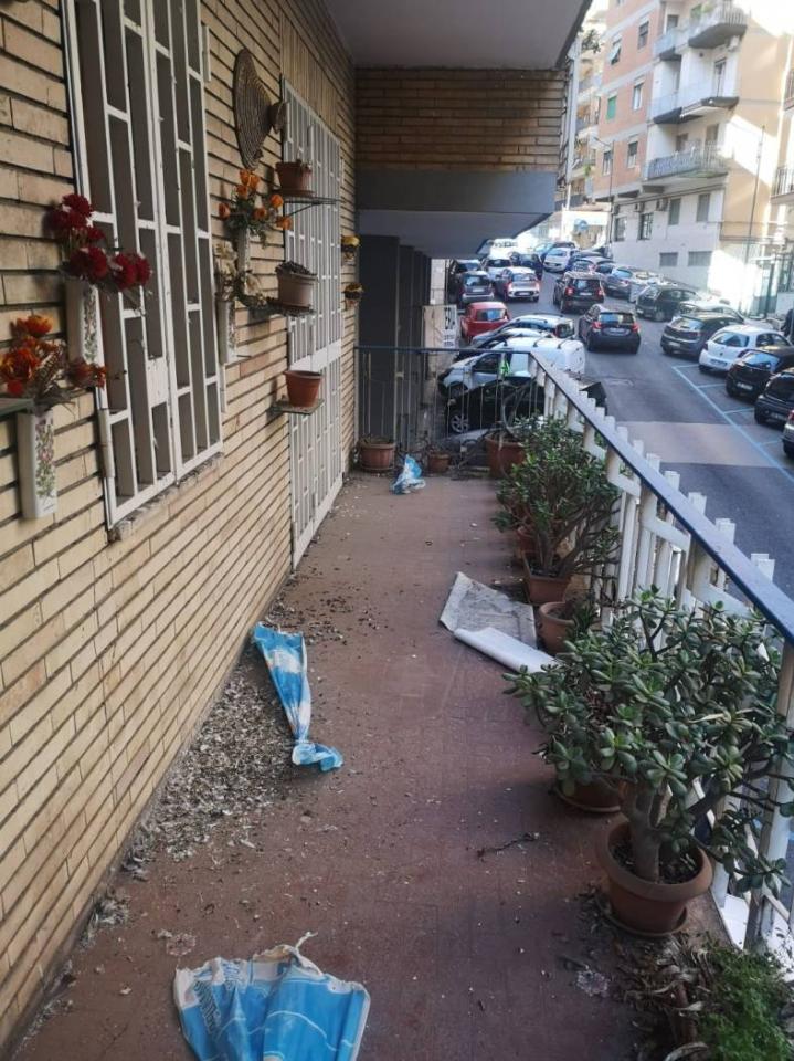 immagine annuncio 12 di 13