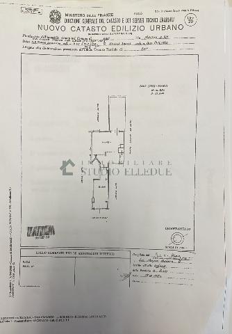 main planimetry real estate image