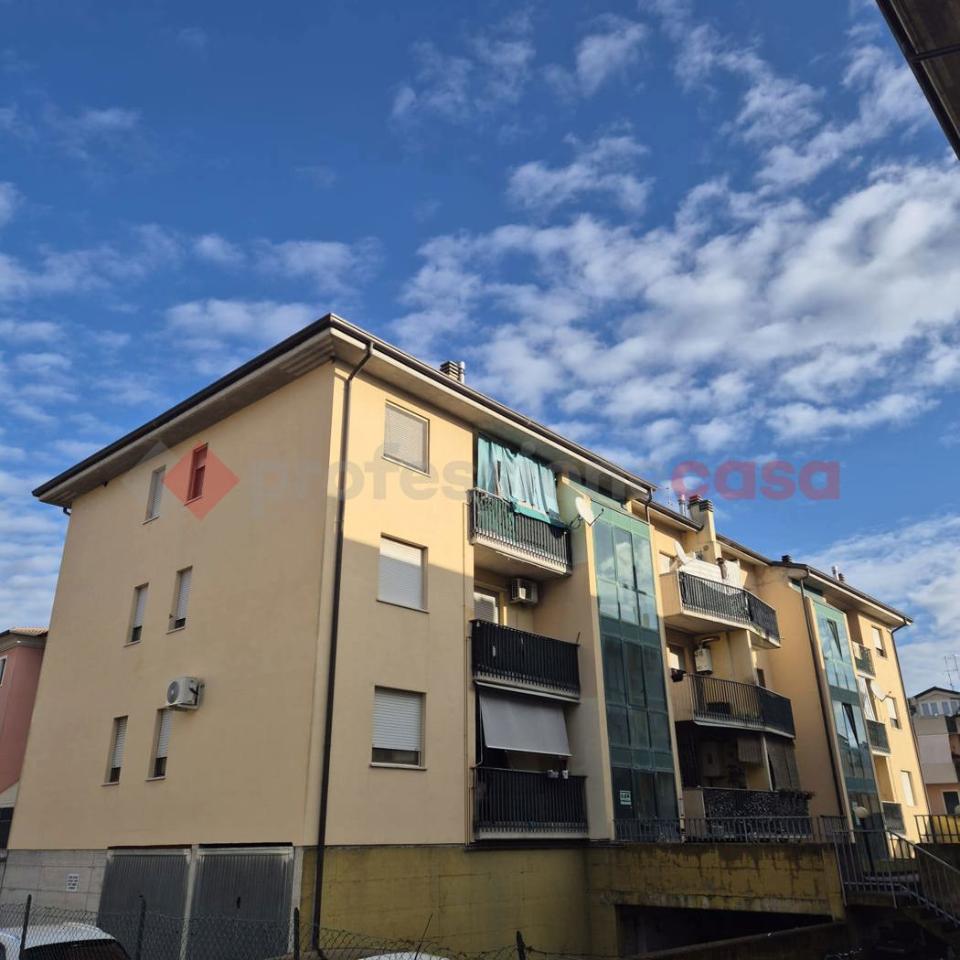 immagine annuncio 1 di 6