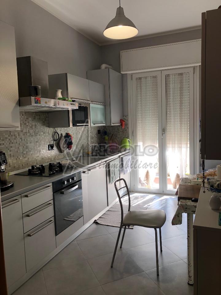 immagine annuncio 6 di 14