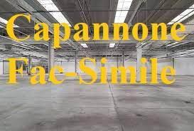 Capannone in Fiorentino, Nusco, {3} - Foto 2