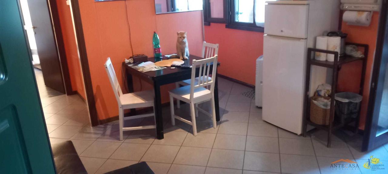 immagine annuncio 5 di 11