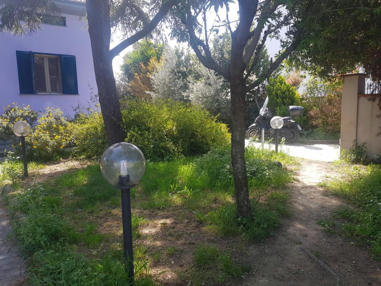 immagine annuncio 11 di 12