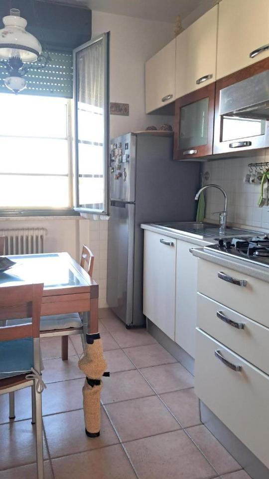 appartamento in vendita a Cascina in zona Casciavola
