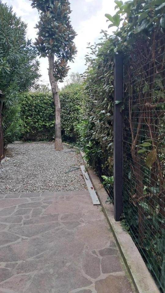 immagine annuncio 7 di 8