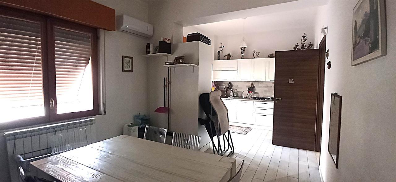 immagine annuncio 4 di 14