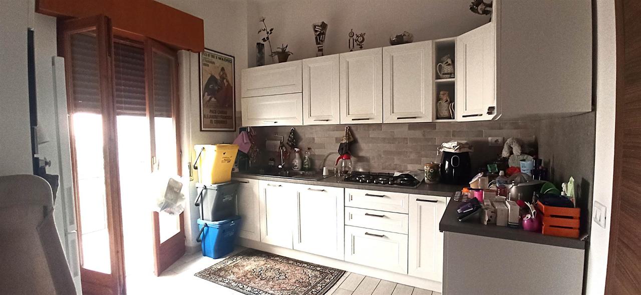 immagine annuncio 6 di 14