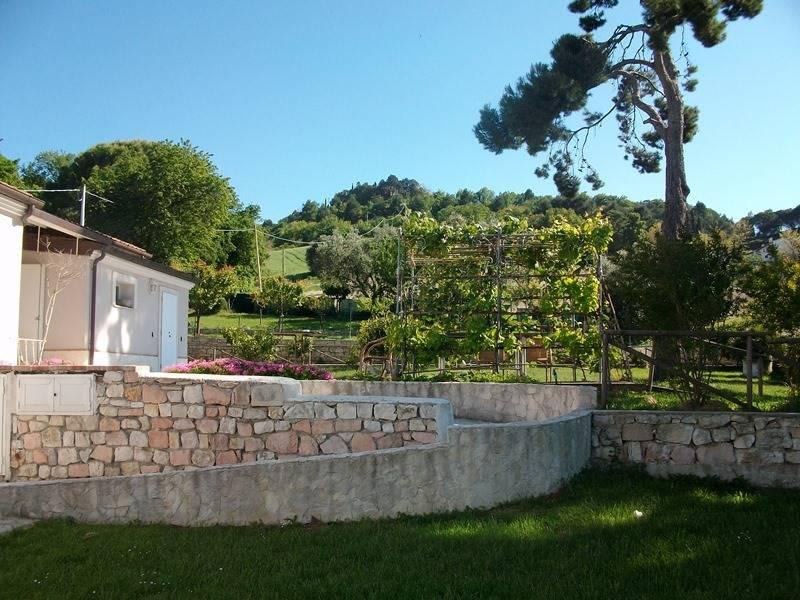 immagine annuncio 5 di 14