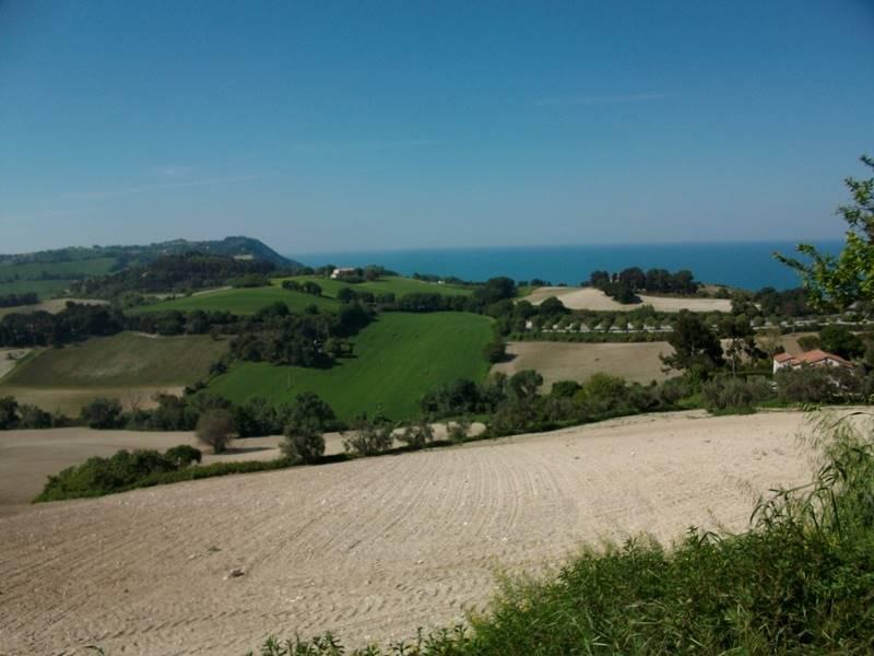 immagine annuncio 8 di 14