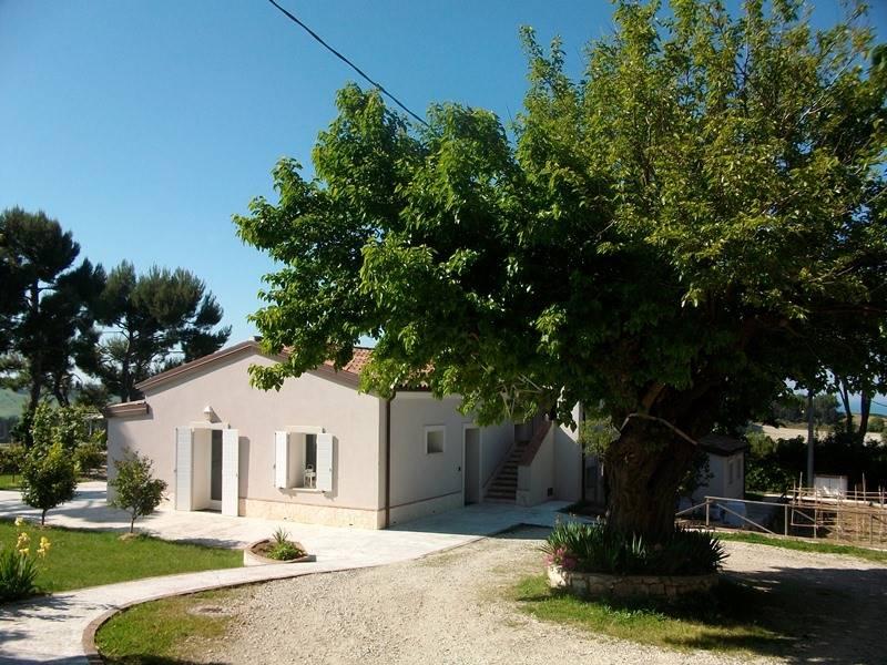 immagine annuncio 3 di 14