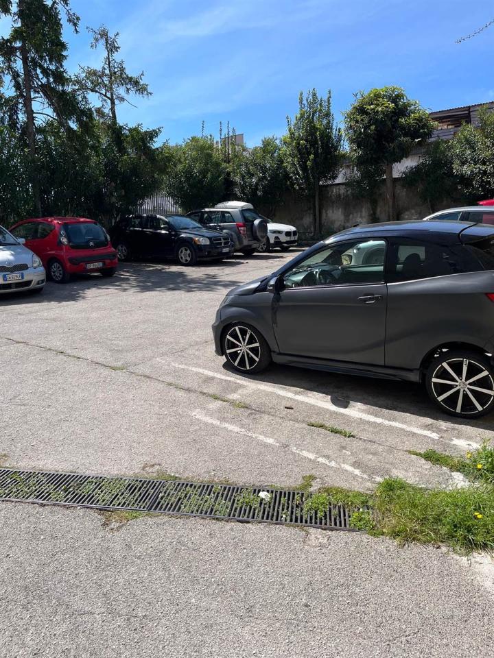 immagine annuncio 5 di 10