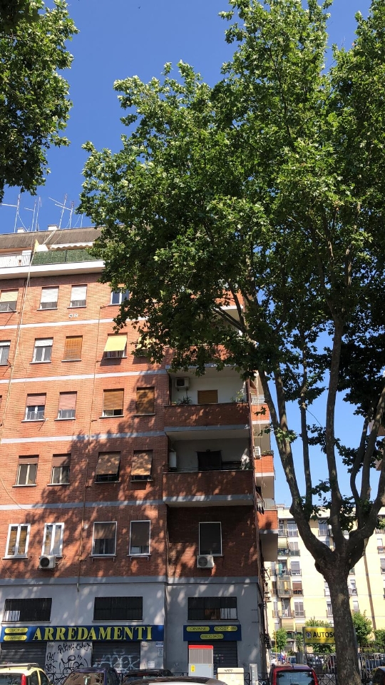 immagine annuncio 2 di 11
