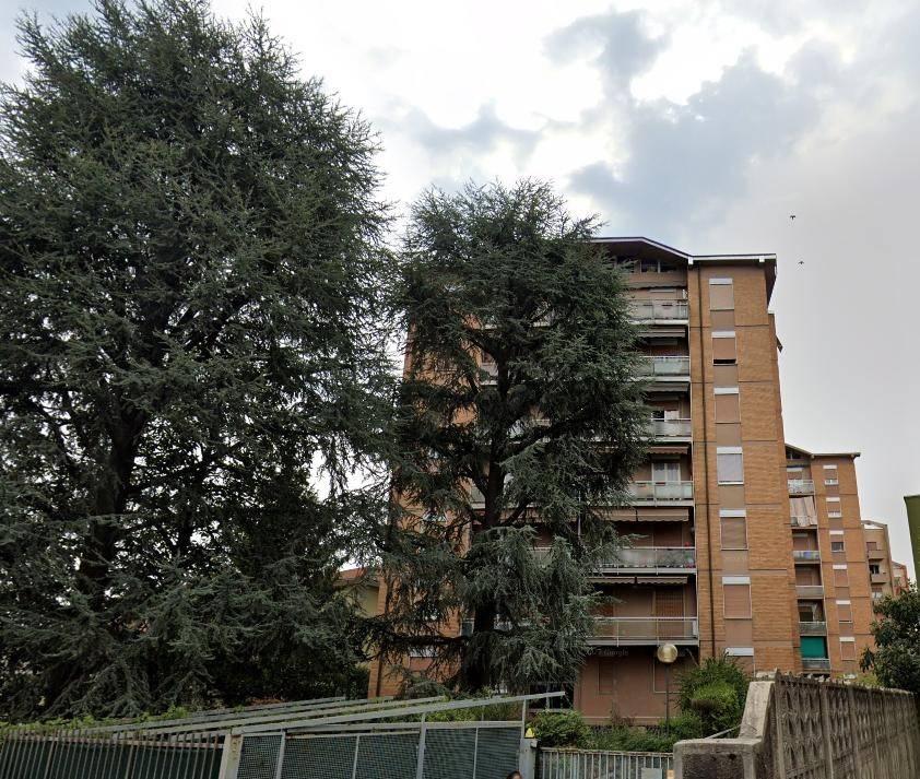 immagine annuncio 13 di 14