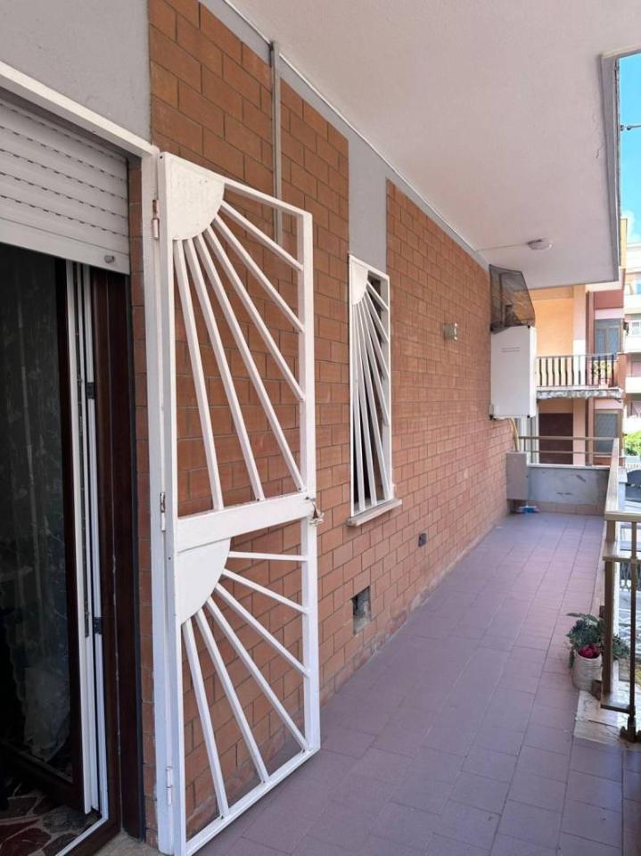 immagine annuncio 12 di 14