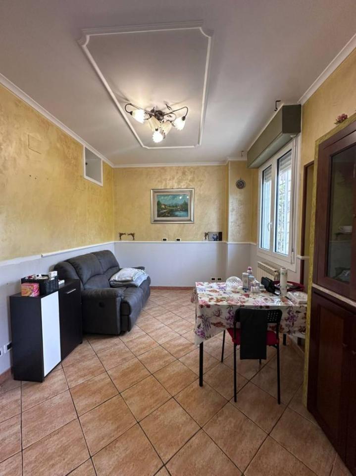 immagine annuncio 1 di 14