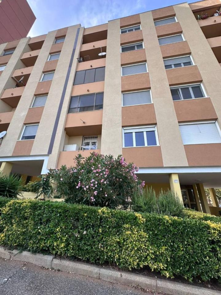 immagine annuncio 10 di 14