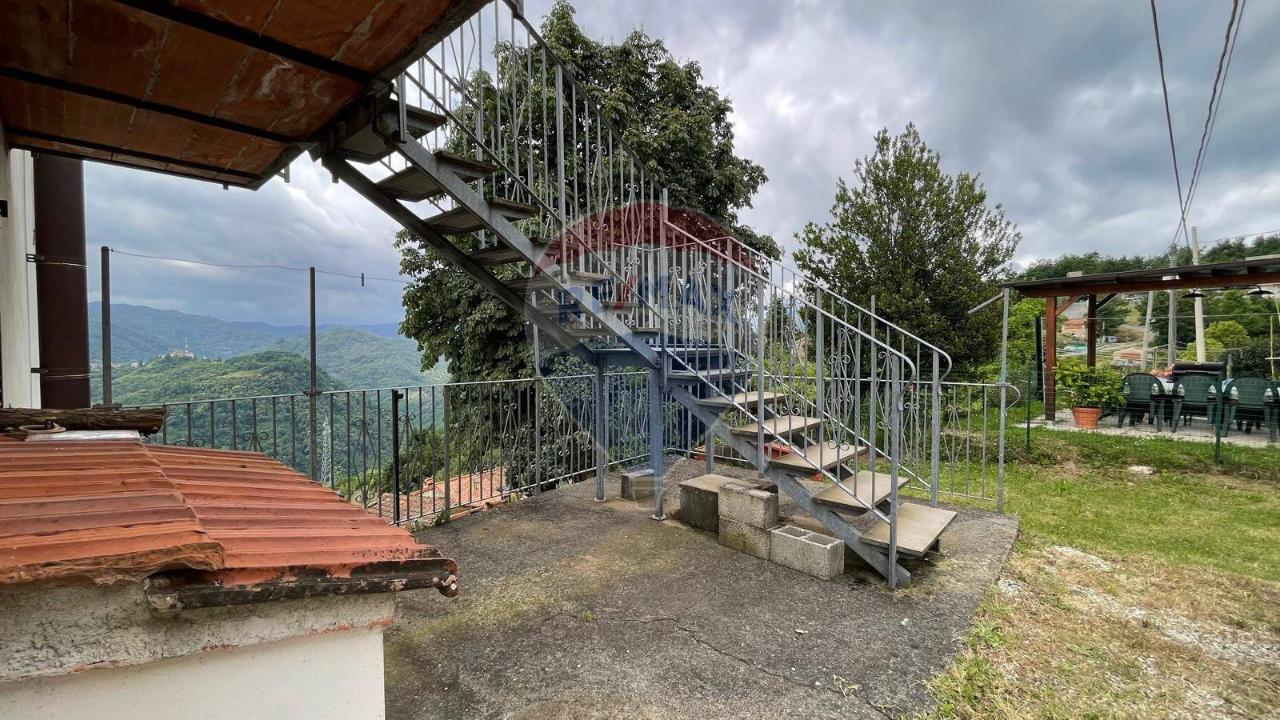 immagine annuncio 7 di 13