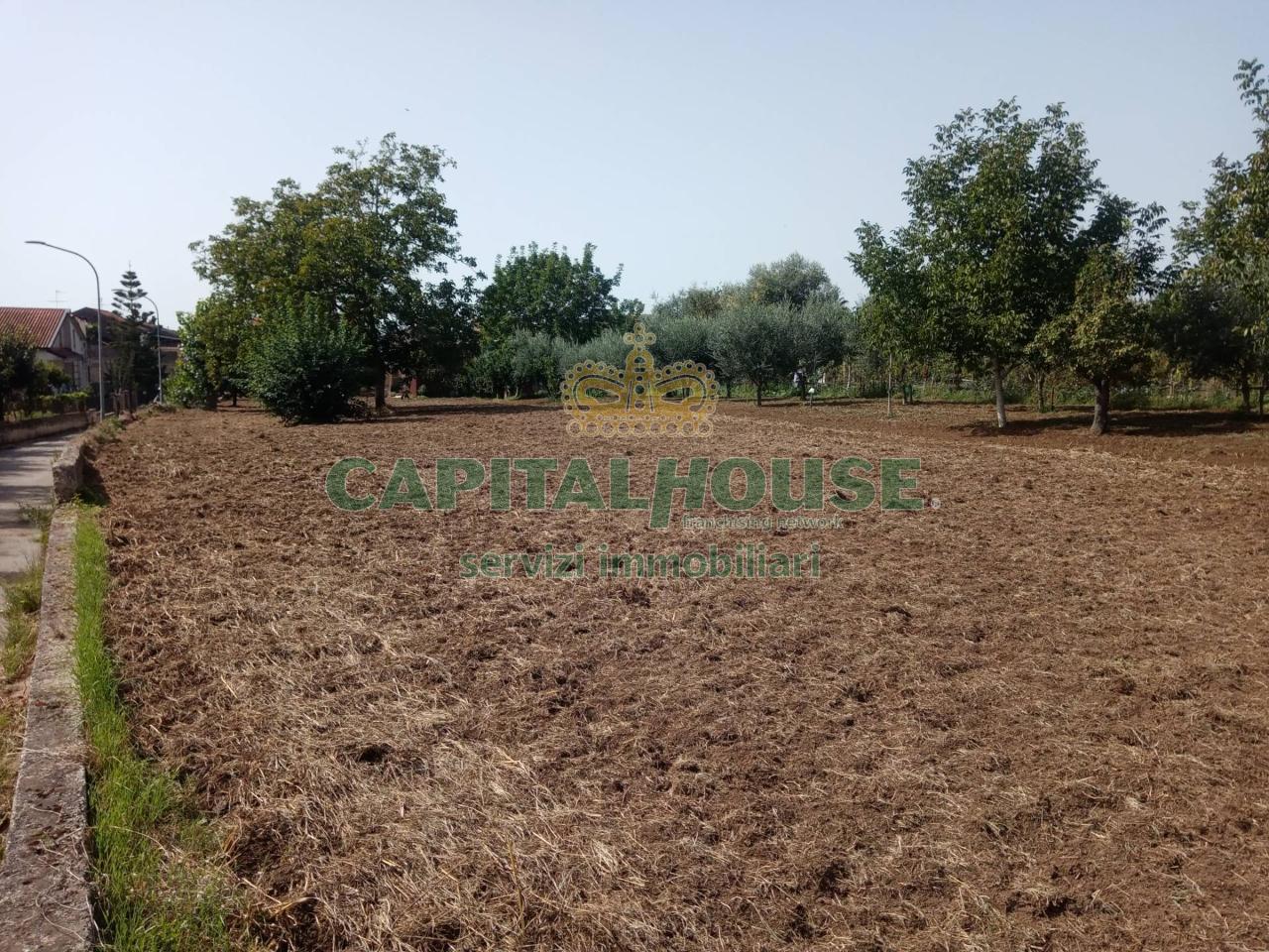 Terreno edificabile in vendita a Pastorano
