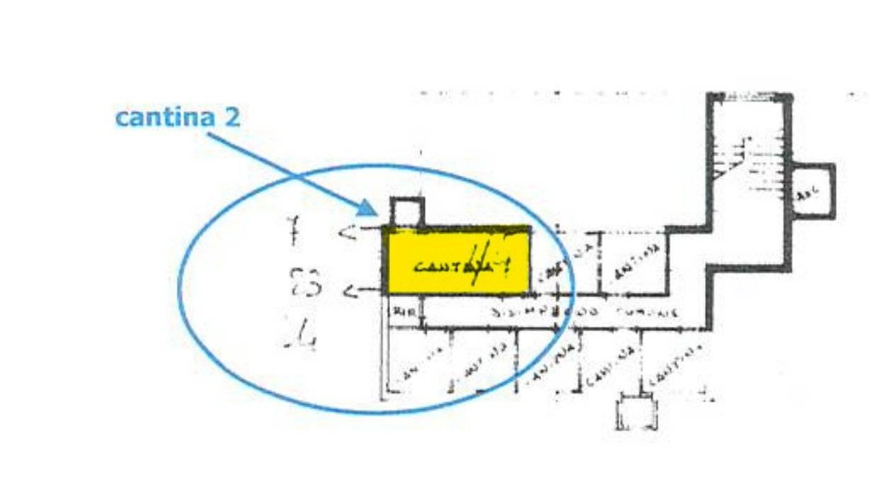 immagine annuncio 3 di 6