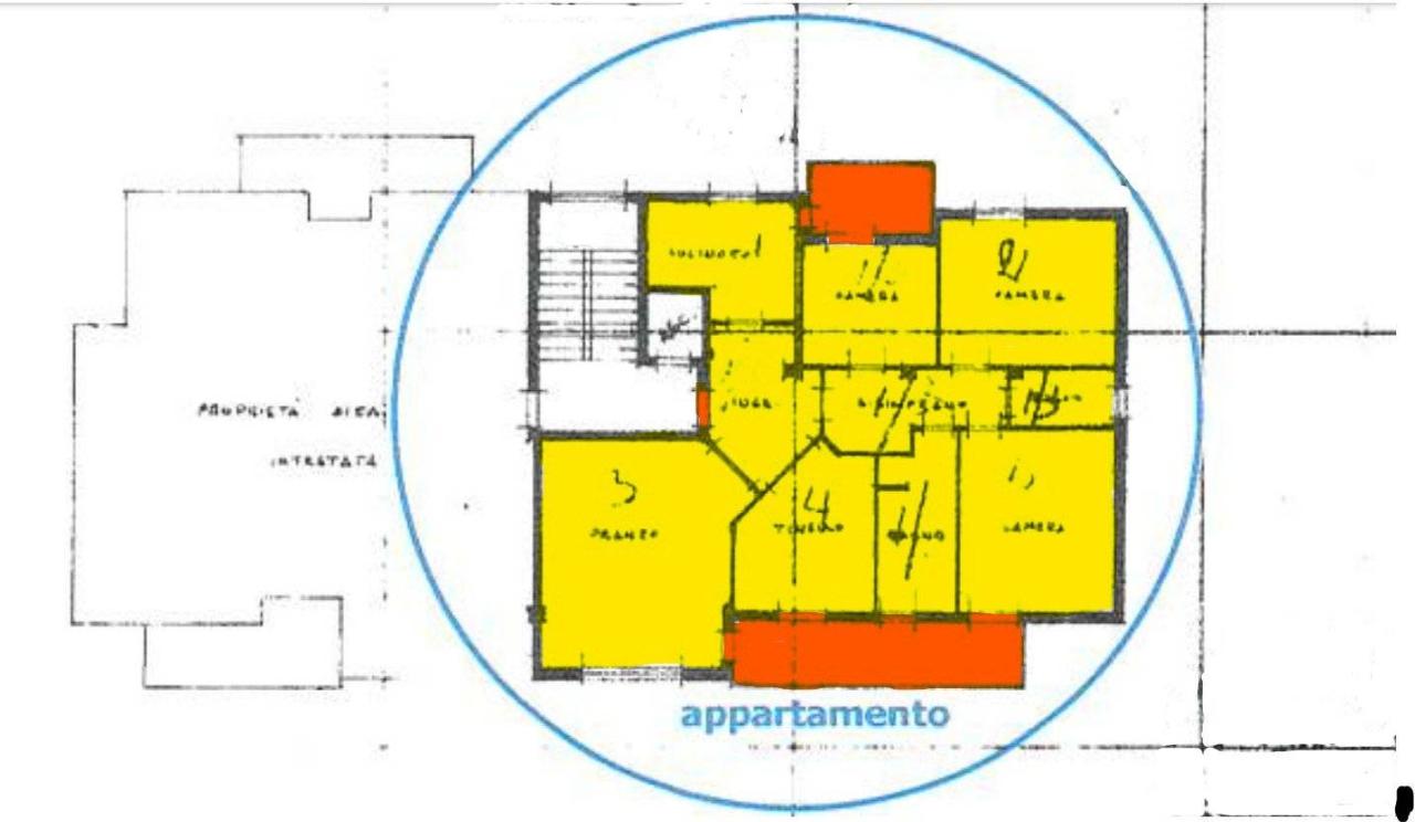 immagine annuncio 1 di 6