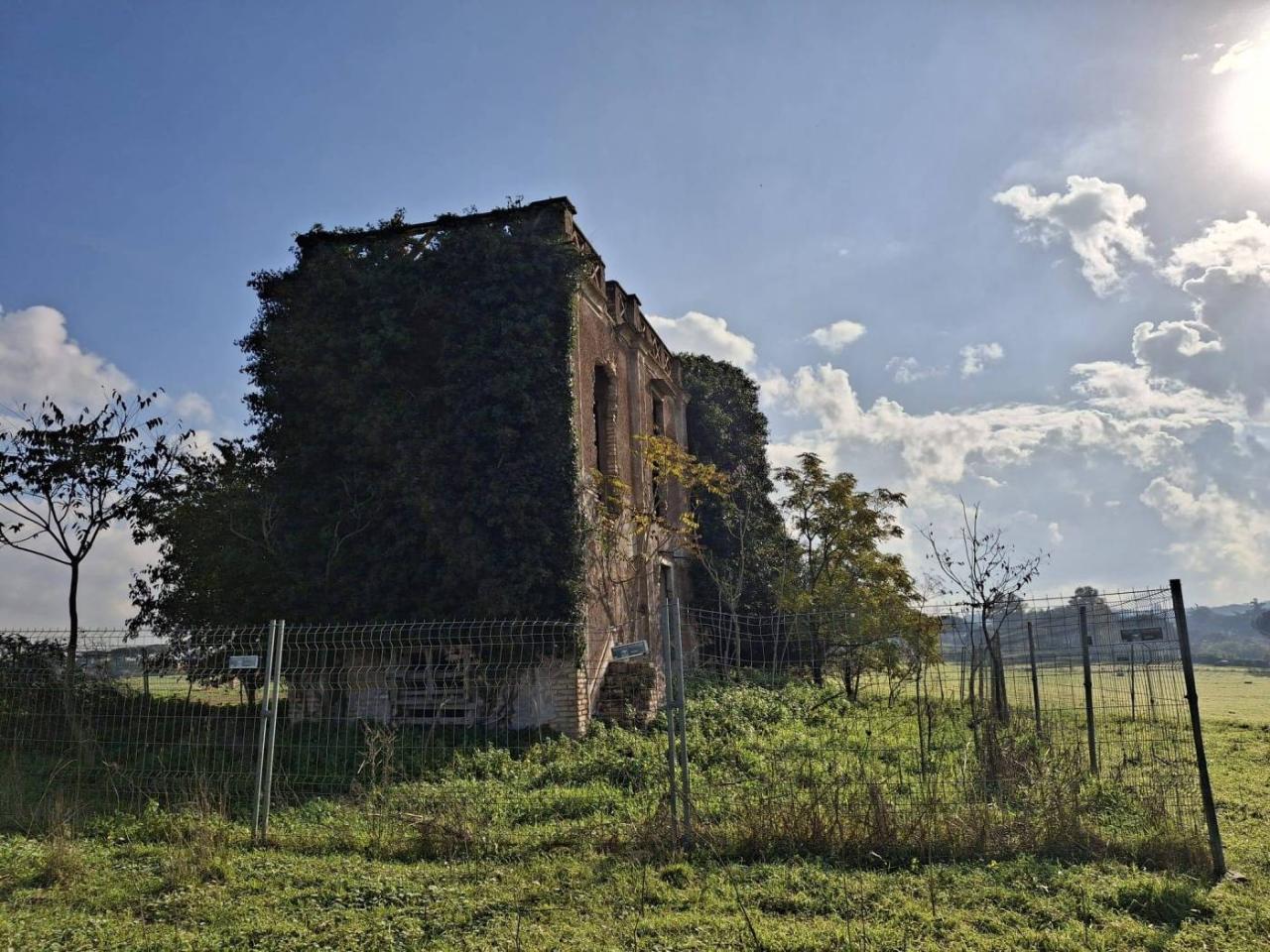 immagine annuncio 11 di 14