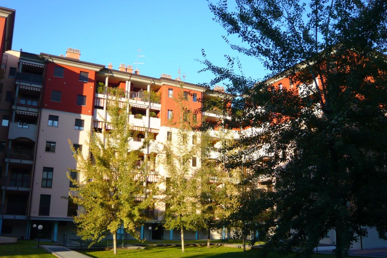 immagine annuncio 5 di 13