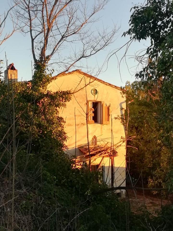 immagine annuncio 2 di 7