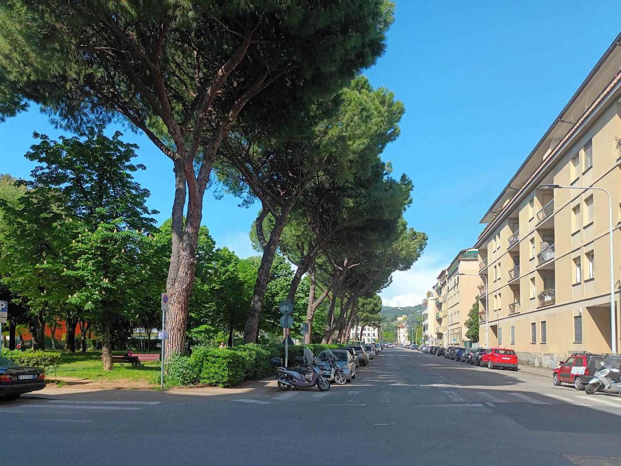 immagine annuncio 8 di 14