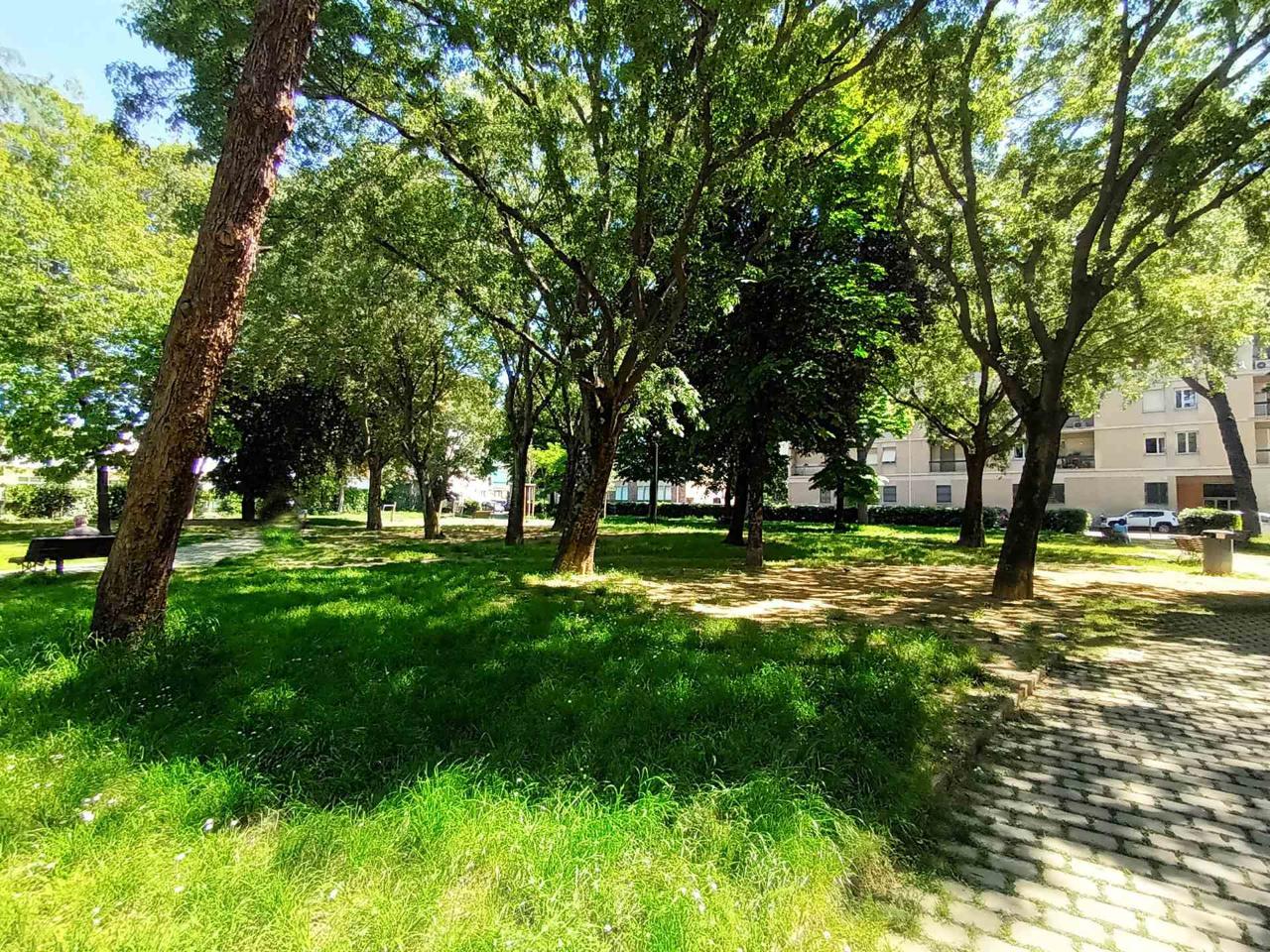 immagine annuncio 12 di 14