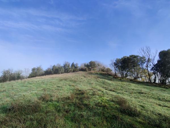 immagine annuncio 8 di 13