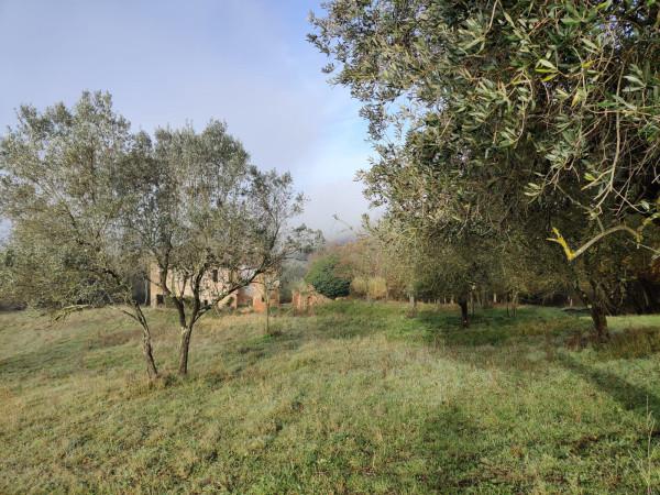 immagine annuncio 7 di 13