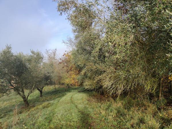 immagine annuncio 10 di 13