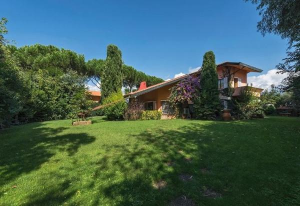 immagine annuncio 2 di 14