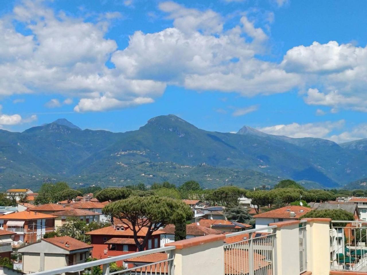 immagine annuncio 3 di 11