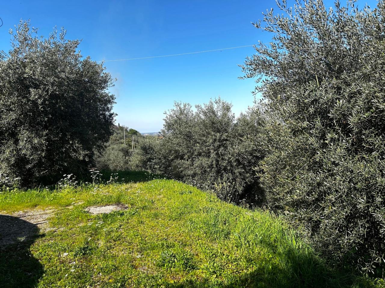 immagine annuncio 11 di 12
