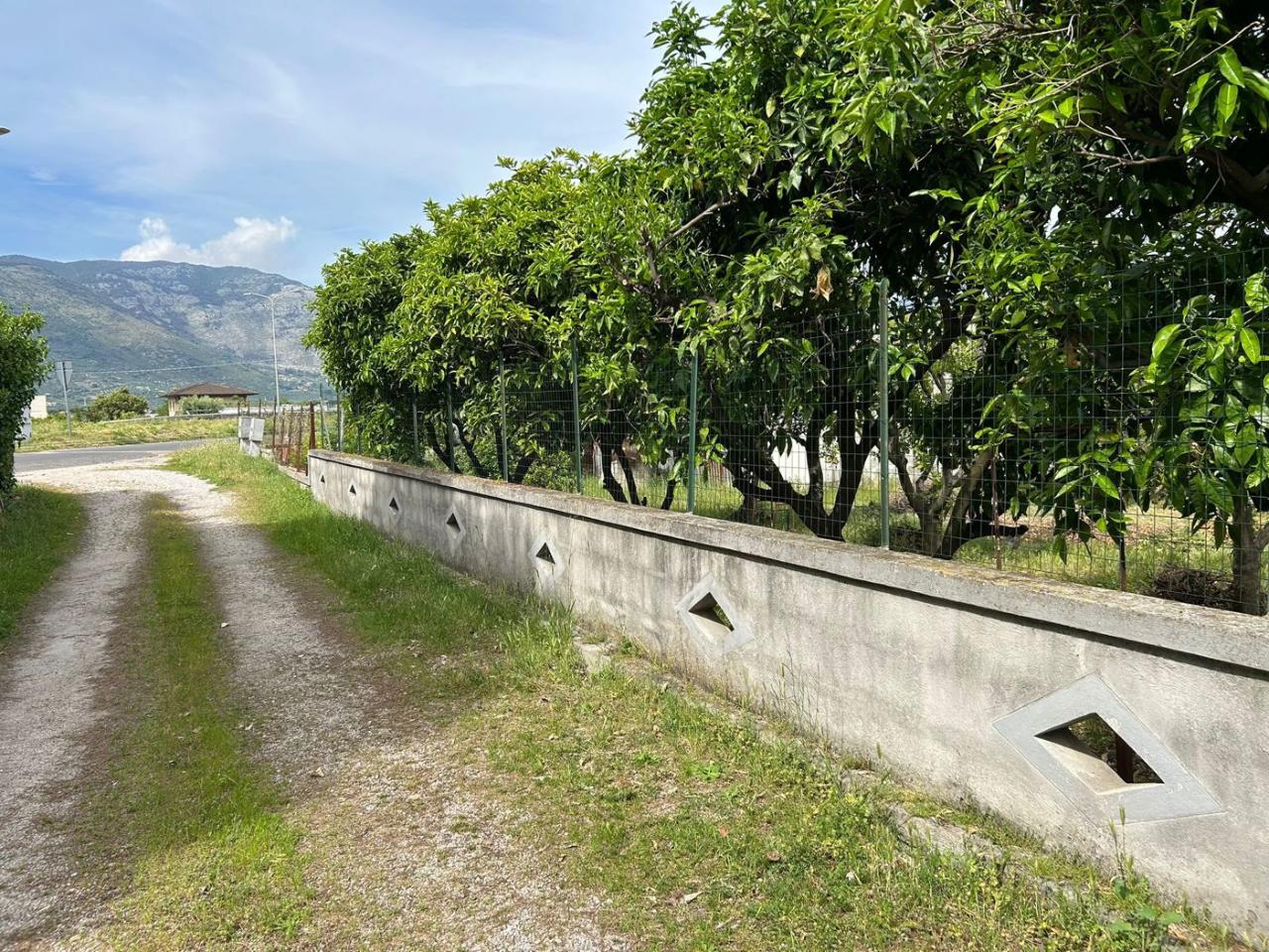 immagine annuncio 5 di 6