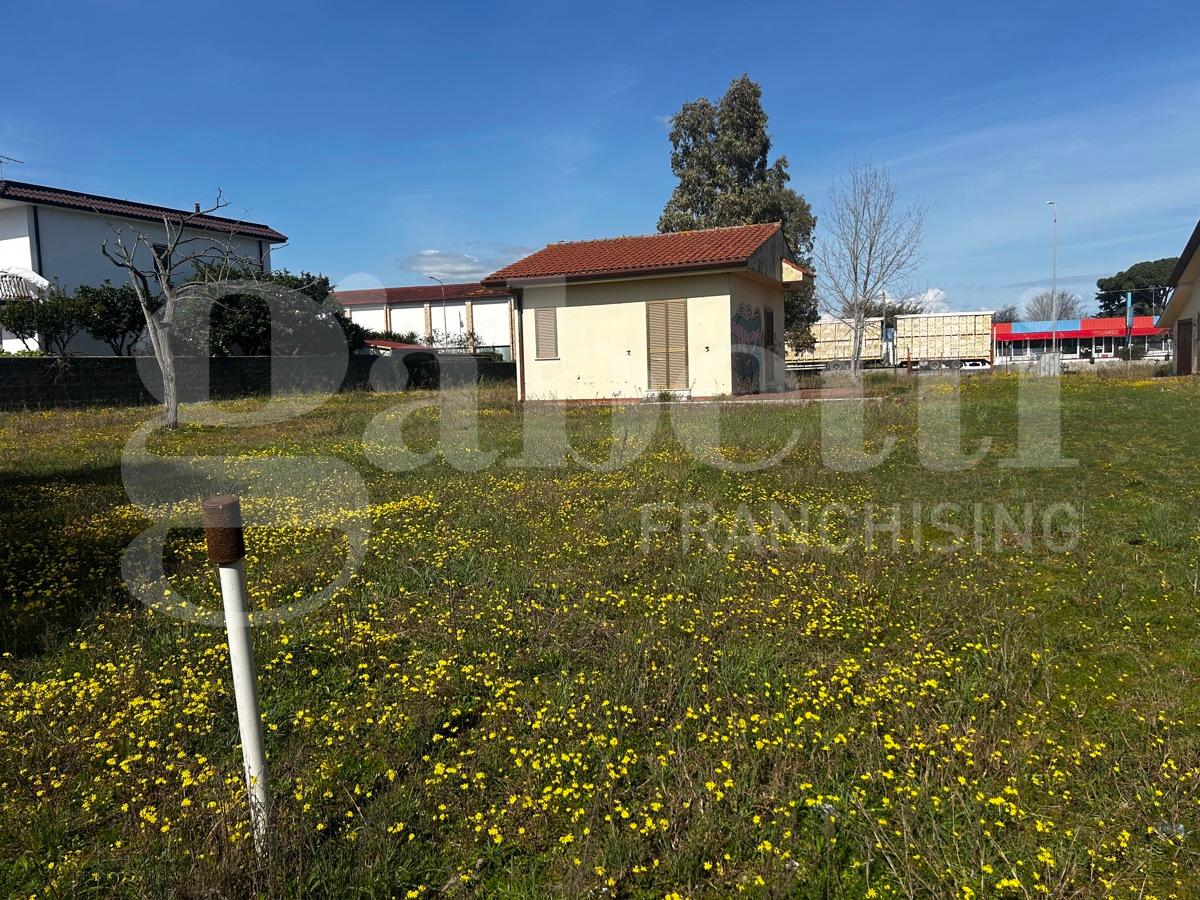 immagine annuncio 5 di 8